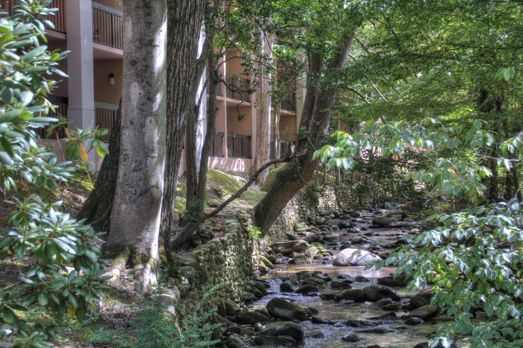 Hampton Inn Gatlinburg Exteriér fotografie