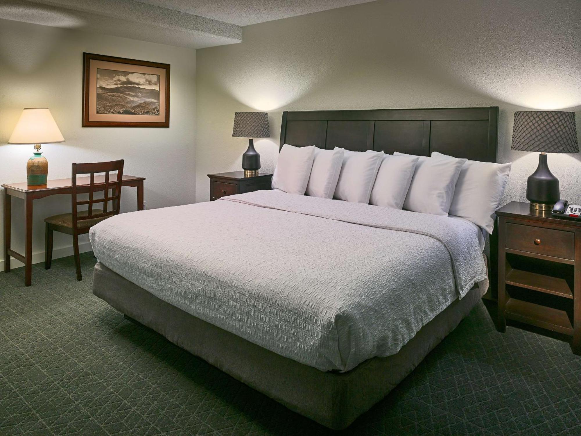 Hampton Inn Gatlinburg Exteriér fotografie